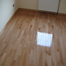 Natur bukov parket sa cokla lajsnom