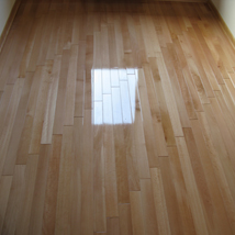 Natur bukov parket sa cokla lajsnom